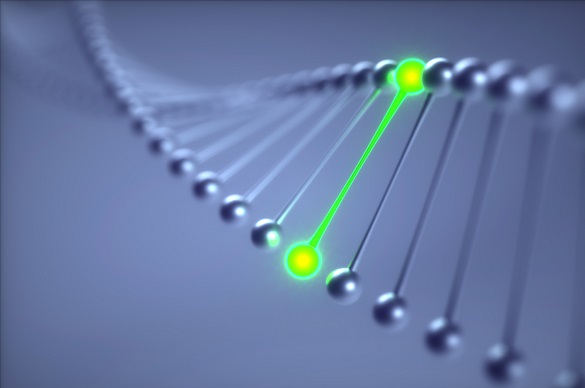 生物合成法